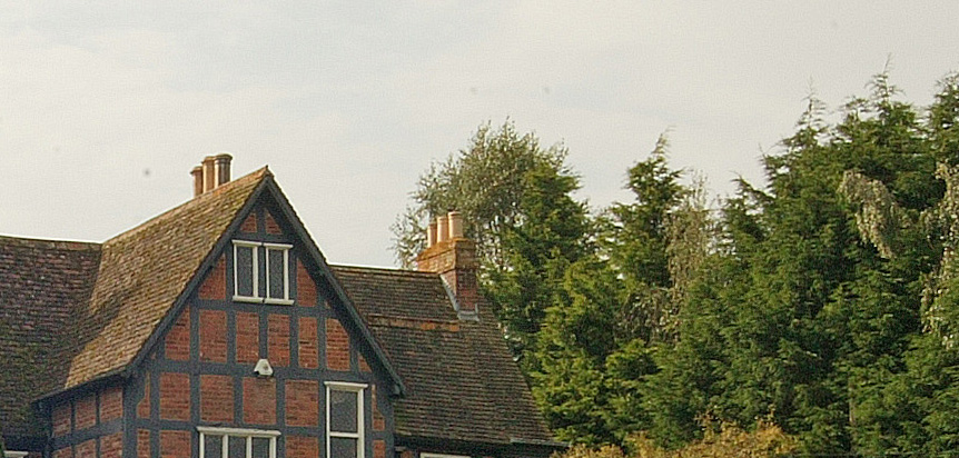 Roof and trees